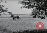 Image of German farmers Wiesbaden Germany, 1954, second 50 stock footage video 65675031787