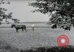 Image of German farmers Wiesbaden Germany, 1954, second 51 stock footage video 65675031787