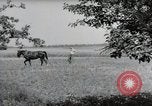 Image of German farmers Wiesbaden Germany, 1954, second 52 stock footage video 65675031787
