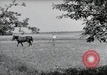 Image of German farmers Wiesbaden Germany, 1954, second 53 stock footage video 65675031787