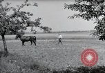 Image of German farmers Wiesbaden Germany, 1954, second 54 stock footage video 65675031787