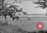 Image of German farmers Wiesbaden Germany, 1954, second 55 stock footage video 65675031787