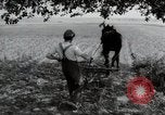 Image of German farmers Wiesbaden Germany, 1954, second 56 stock footage video 65675031787