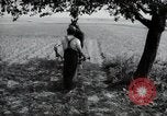 Image of German farmers Wiesbaden Germany, 1954, second 58 stock footage video 65675031787