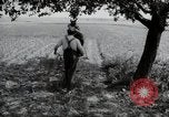 Image of German farmers Wiesbaden Germany, 1954, second 59 stock footage video 65675031787