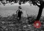Image of German farmers Wiesbaden Germany, 1954, second 60 stock footage video 65675031787