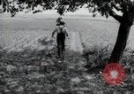 Image of German farmers Wiesbaden Germany, 1954, second 61 stock footage video 65675031787
