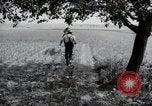 Image of German farmers Wiesbaden Germany, 1954, second 62 stock footage video 65675031787