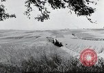 Image of German farmers Wiesbaden Germany, 1954, second 8 stock footage video 65675031793