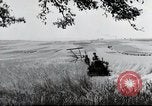 Image of German farmers Wiesbaden Germany, 1954, second 29 stock footage video 65675031793