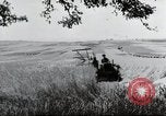 Image of German farmers Wiesbaden Germany, 1954, second 30 stock footage video 65675031793