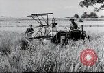 Image of German farmers Wiesbaden Germany, 1954, second 39 stock footage video 65675031793