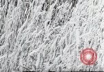 Image of German farmers Wiesbaden Germany, 1954, second 50 stock footage video 65675031793