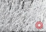 Image of German farmers Wiesbaden Germany, 1954, second 51 stock footage video 65675031793