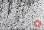 Image of German farmers Wiesbaden Germany, 1954, second 52 stock footage video 65675031793