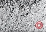 Image of German farmers Wiesbaden Germany, 1954, second 53 stock footage video 65675031793