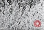 Image of German farmers Wiesbaden Germany, 1954, second 54 stock footage video 65675031793