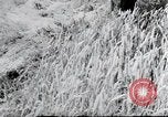 Image of German farmers Wiesbaden Germany, 1954, second 58 stock footage video 65675031793