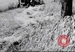 Image of German farmers Wiesbaden Germany, 1954, second 59 stock footage video 65675031793