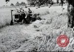 Image of German farmers Wiesbaden Germany, 1954, second 62 stock footage video 65675031793