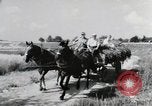 Image of German farmers Wiesbaden Germany, 1954, second 1 stock footage video 65675031796