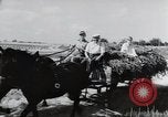 Image of German farmers Wiesbaden Germany, 1954, second 3 stock footage video 65675031796