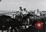 Image of German farmers Wiesbaden Germany, 1954, second 4 stock footage video 65675031796