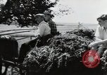Image of German farmers Wiesbaden Germany, 1954, second 8 stock footage video 65675031796