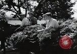 Image of German farmers Wiesbaden Germany, 1954, second 9 stock footage video 65675031796