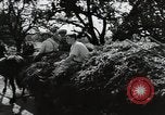 Image of German farmers Wiesbaden Germany, 1954, second 10 stock footage video 65675031796