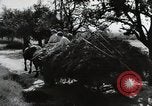 Image of German farmers Wiesbaden Germany, 1954, second 12 stock footage video 65675031796