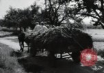Image of German farmers Wiesbaden Germany, 1954, second 13 stock footage video 65675031796