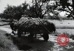 Image of German farmers Wiesbaden Germany, 1954, second 14 stock footage video 65675031796