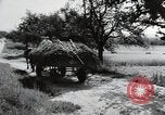 Image of German farmers Wiesbaden Germany, 1954, second 16 stock footage video 65675031796