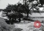 Image of German farmers Wiesbaden Germany, 1954, second 17 stock footage video 65675031796