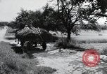 Image of German farmers Wiesbaden Germany, 1954, second 18 stock footage video 65675031796