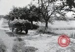 Image of German farmers Wiesbaden Germany, 1954, second 19 stock footage video 65675031796