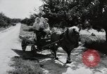 Image of German farmers Wiesbaden Germany, 1954, second 10 stock footage video 65675031797