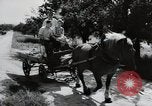 Image of German farmers Wiesbaden Germany, 1954, second 11 stock footage video 65675031797