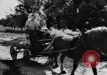 Image of German farmers Wiesbaden Germany, 1954, second 12 stock footage video 65675031797