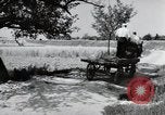Image of German farmers Wiesbaden Germany, 1954, second 25 stock footage video 65675031797