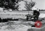 Image of German farmers Wiesbaden Germany, 1954, second 26 stock footage video 65675031797