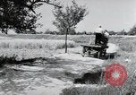 Image of German farmers Wiesbaden Germany, 1954, second 29 stock footage video 65675031797