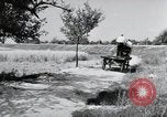 Image of German farmers Wiesbaden Germany, 1954, second 30 stock footage video 65675031797