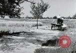 Image of German farmers Wiesbaden Germany, 1954, second 31 stock footage video 65675031797