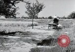 Image of German farmers Wiesbaden Germany, 1954, second 32 stock footage video 65675031797