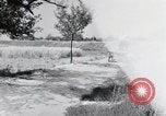 Image of German farmers Wiesbaden Germany, 1954, second 33 stock footage video 65675031797