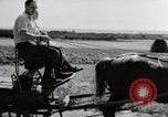 Image of German farmers Wiesbaden Germany, 1954, second 35 stock footage video 65675031797
