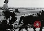 Image of German farmers Wiesbaden Germany, 1954, second 36 stock footage video 65675031797