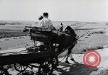 Image of German farmers Wiesbaden Germany, 1954, second 39 stock footage video 65675031797